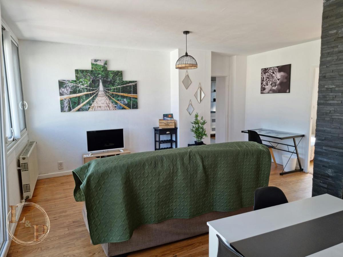 Le Belvedere Vue Pyrenees, Familiale, Centre Tarbes Apartment Exterior photo